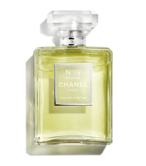 perfume chanel n 19 poudre|Chanel no 19 perfume price.